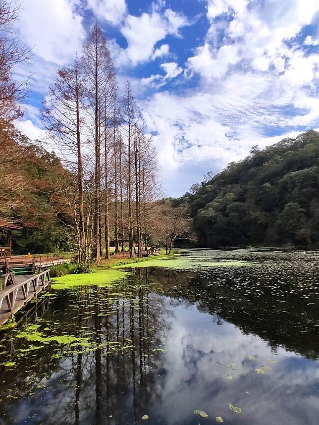 福山植物園保有中低海拔具代表性的原始森林，引人入勝。（中華旅行社提供）