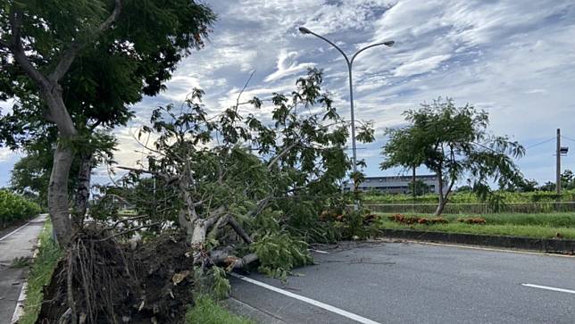 受颱風卡努外圍環流沉降影響，台東市區3日清晨6時32分溫度飆高至攝氏36.3度，最大陣風出現8級，路樹被強風吹倒。中央社