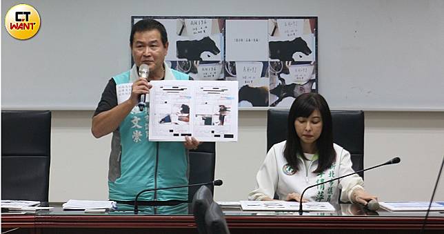 新北毛小孩絕育美意　議員掀動保團體重複詐領