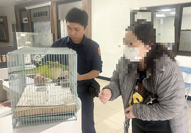 員警連絡張姓女飼主領回走失的「阿舊」和尚鸚鵡。（三分局提供）