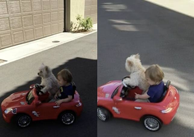 ▲小狗自駕小型電動汽車載小孩，讓飼主驚訝錄下影片。（圖/美聯社/jkne017592）