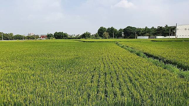 土地示意（非新聞所述物件）。圖／台中市地政局提供