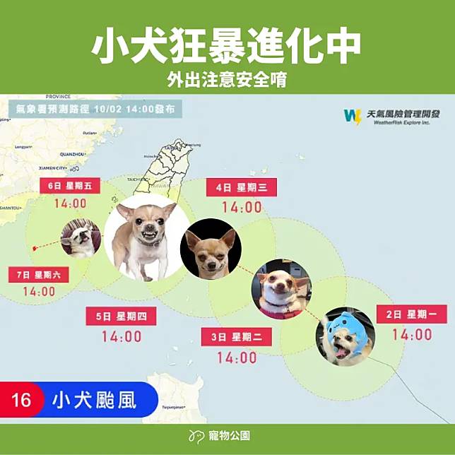 ▲小犬颱風（國際命名：Koinu）吉娃娃梗圖出籠！今天的小犬笑得你心裡發寒，明天就恐怖「吉」了。（圖／寵物公園臉書）