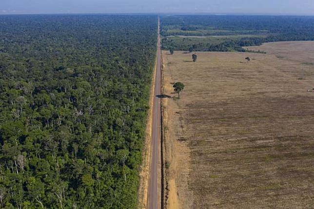 此圖位於巴西北部帕拉州。圖中央為BR-163號高速公路，左側是塔帕若斯國家森林區，右側是大豆田。(AP)
