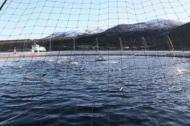 This photo taken on Oct. 10, 2023 shows a salmon farm in the fjord of Troms County in northern Norway. (Xinhua/Zhang Yuliang)