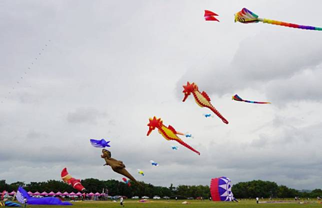 屏東風箏節將於四日起一連兩天登場。（記者毛莉攝）