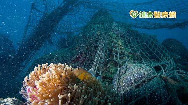 珊瑚底層生態系破壞，導致漁業產量減少，營養素快速下降，甚至影響數種抗癌藥物原料，海洋危機不可忽視。