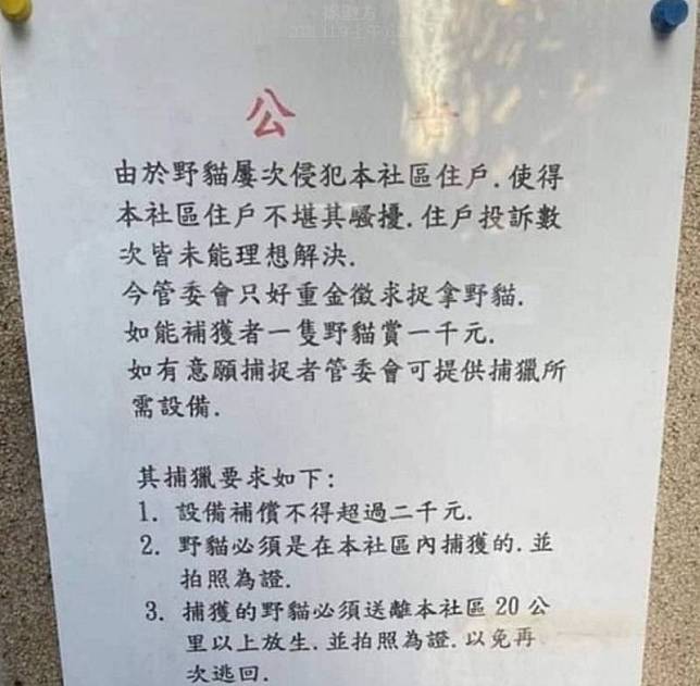 鶯歌某社區因多隻流浪貓影響住戶生活品質，管委會張貼公告懸賞新台幣千元捉貓後放生20公里外，此舉引愛貓人士不滿舉報。（動保處提供）中央社記者王鴻國傳真 110年11月16日