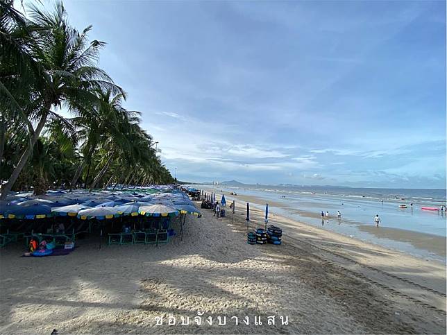 บรรยากาศชายหาดบางแสน เช้านี้ เตียงผ้าใบ , ร้านอาหารมาแล้ว