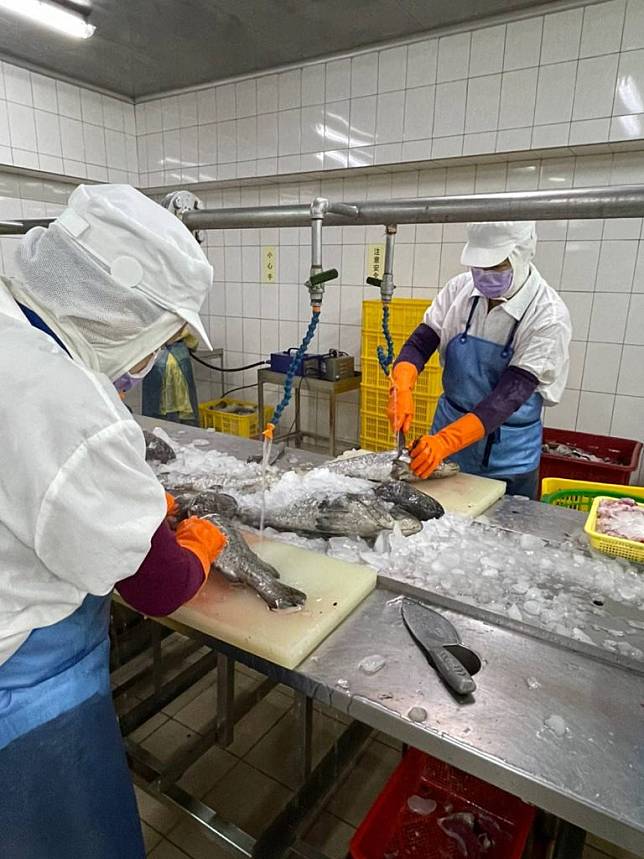 高雄市府投入1億5000萬元建構冷鏈倉儲，並補助石斑魚養殖業者銷售價格每公斤20元，以協助漁民渡過寒冬。（記者吳文欽攝）