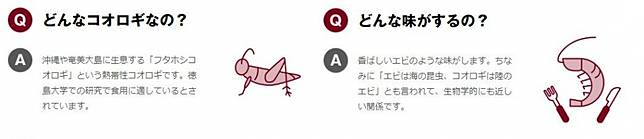 
<p>圖片來源：<a href=