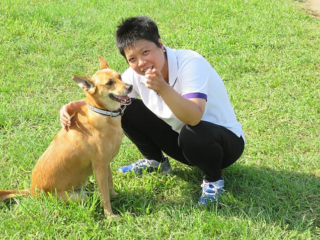 劉柏君認養的流浪狗耶魯，曾經非常怕人，她說耶魯以前應該也是「受暴婦女」。記者雷光涵／攝影