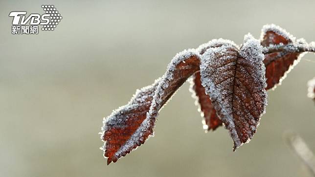 霜降代表秋季的最後一個節氣，也意味著冬天的開始。（示意圖／shutterstock達志影像）