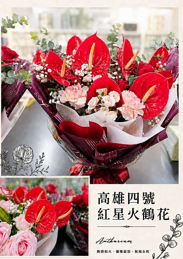 紅星苞葉成心型，相當浪漫。（照片提供／黃雅玲；製圖／上下游）