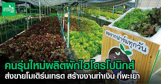 ผักไฮโดรโปนิก