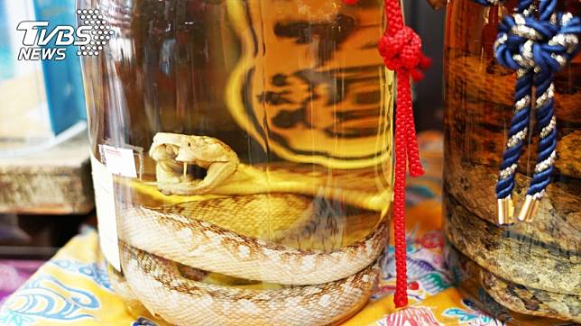 現在仍有不少人會遵循古法抓蛇入酒。(示意圖／TVBS)