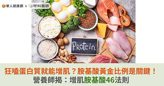 狂嗑蛋白質就能增肌？胺基酸黃金比例是關鍵！營養師揭：增肌胺基酸46法則