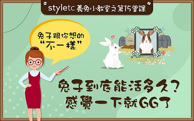 飼主照顧好，兔瑞滿地跑！「兔兔年齡換算表」大公開，「牠」竟然活到快19歲！