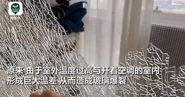 鄭州高溫創建站68年歷史紀錄　玻璃自爆「碎成蜘蛛網」…螞蟻3秒被烤死