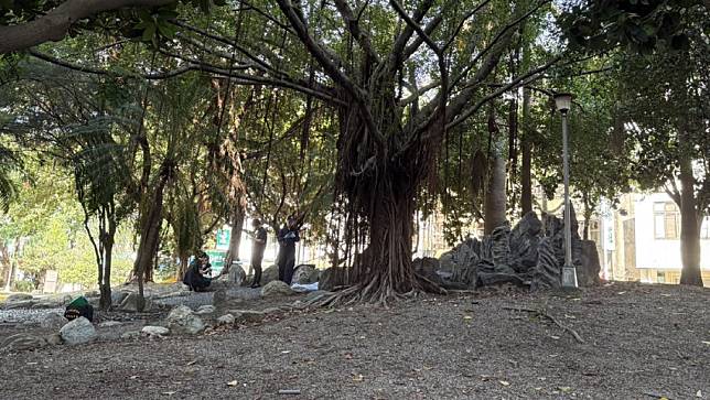 台中市北區一處公園10月8日發生死亡案，晨運民眾目睹一具男屍赤腳，陳屍榕樹上。讀者提供