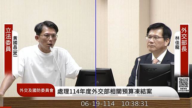 民眾黨團總召黃國昌、外交部長林佳龍。（圖／國會頻道）