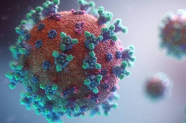 美國科學家發現「超級抗體」，能中和所有已知變種病毒。示意圖。(取自Unsplash圖庫)