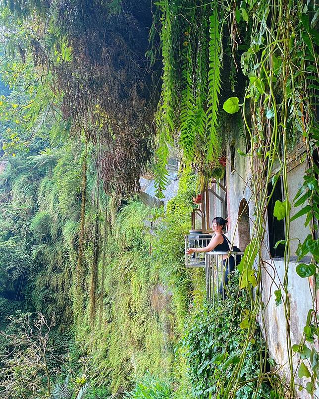 圖片來源：IG @pearrr.tw