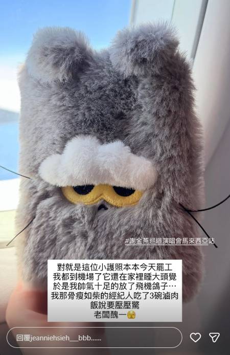 謝金燕忘帶護照，錯過班機。（圖／翻攝自IG @jeanniehsieh___bbb）