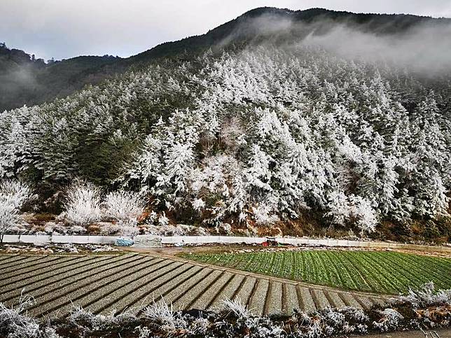 圖片提供：張燕伶