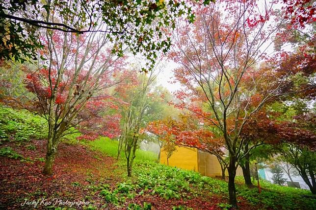 ▲圖片來源：IG@jackykao168