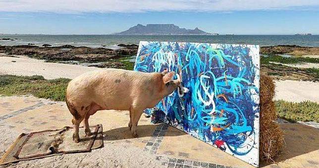 南非特殊畫家「豬卡索」咬筆創作　作品售價高達74萬