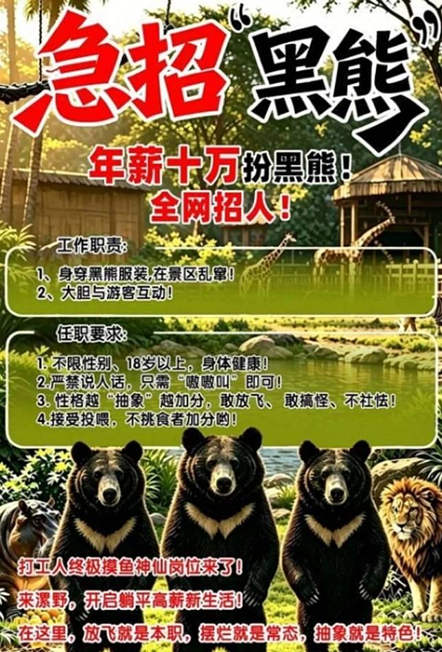 中國河南省漯河市一處野生動物園，開出年薪10萬元（新台幣47萬元台幣）「徵人扮黑熊」的招募消息，引發關注。（翻攝自網易）