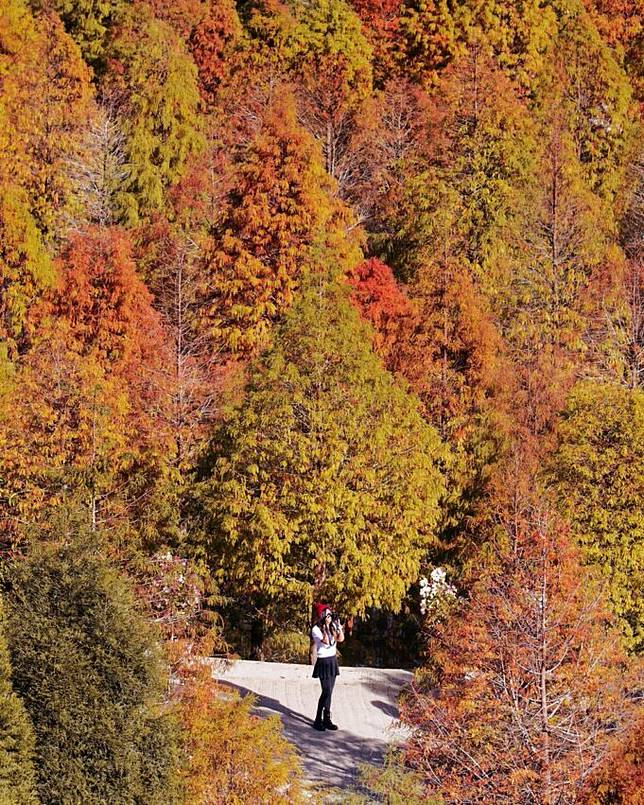 照片來源：IG@vivian06041