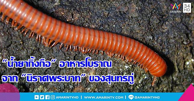 เปิดเมนูพิสดาร 