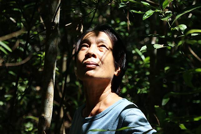 大武山秘密森林，阿凡達奇異世界！會走路的樹與女泰山黃月葉，收容流浪原生植物