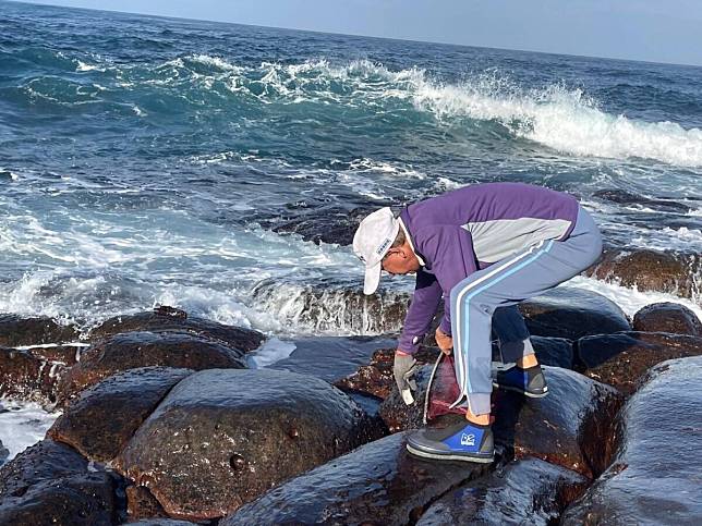 海波浪拍打下的美味黑金 快來東北角品嚐野生紫菜