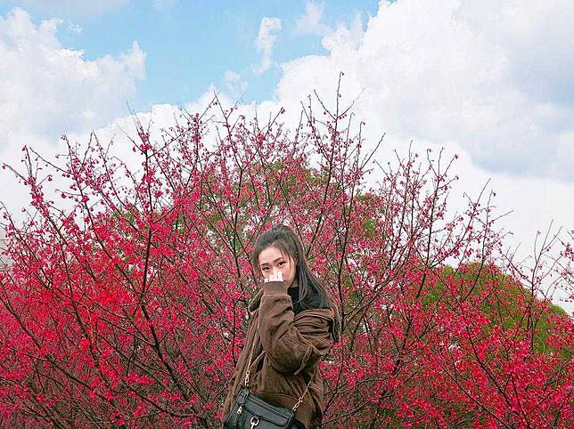 櫻花，INSTAGRAM：@54._.55