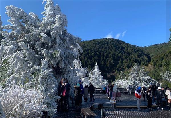 不少民眾上太平山沒有等到雪，但大片霧淞美景仍讓人讚嘆。截自FB@太平山國家森林遊樂區