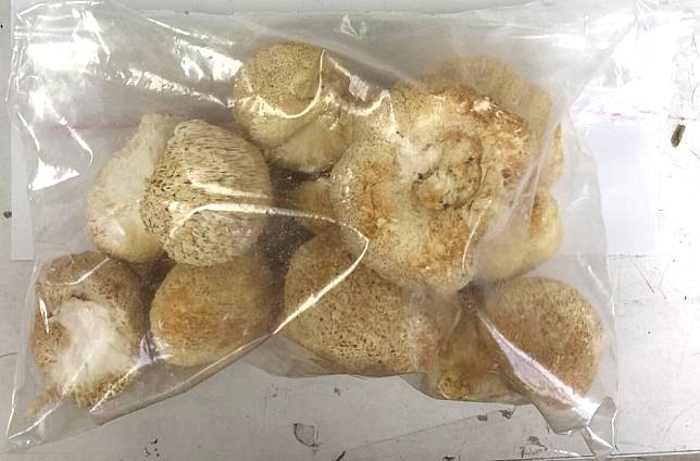 中國猴頭菇多次農藥超標 王必勝：不排除禁止進口