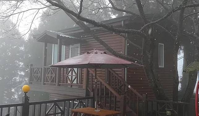寒流過年報到桃園拉拉山下雪了，網友在民宿粉專興奮分享雪白美景。（翻攝自拉拉山民宿-嶺鎮渡假山莊臉書）