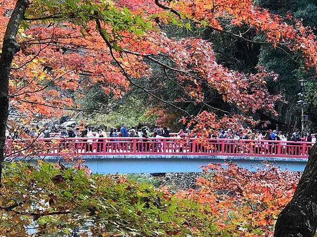 [รีวิว] เที่ยวเมือง Obara ชมดอกซากุระบาน พร้อมใบไม้เปลี่ยนสี ที่ญี่ปุ่น