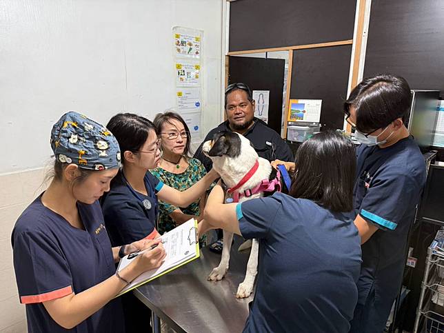 興大USR浪愛無國界，拓展獸醫外交，將台灣絕育經驗，推廣到帛琉。（圖：興大提供）
