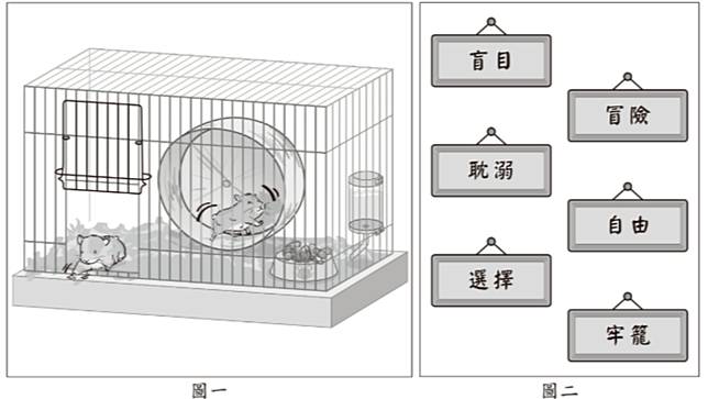 會考作文以兩隻倉鼠與六個詞彙為題，讓考生一下子不知該如何下筆。取自台灣師大心測中心官網