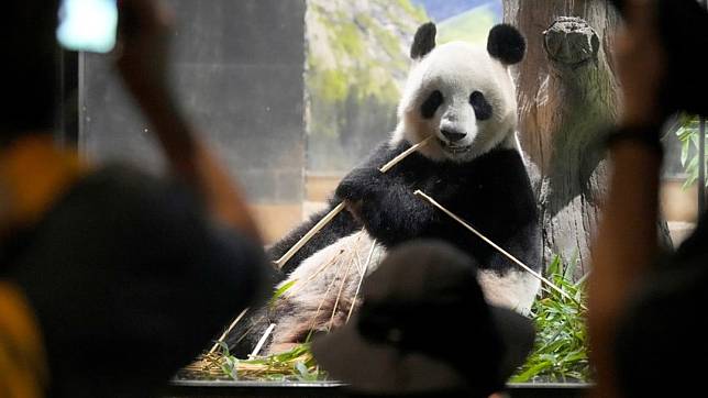 大批民眾昨日到上野動物園送別一對大熊貓