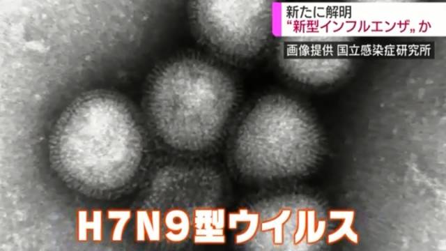 日研究首確認H7N9可經飛沫傳播(互聯網)