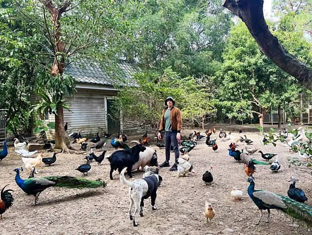 新竹縣關西民宿「拇指園」老闆小丁從零開始，學習管理上百隻動物。