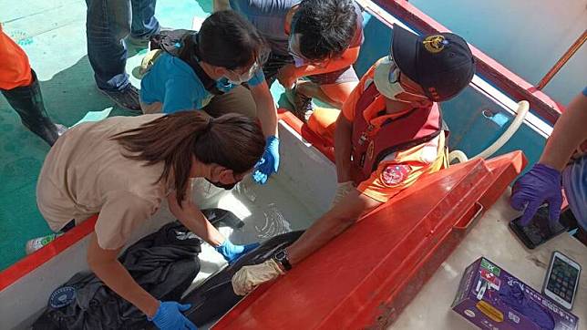一隻約一公尺長的小海豚誤闖大溪漁港港內游來游去，海巡署人員會同漁民聯手救援，經獸醫評估存活機率不高，決定做人道處置。（民眾提供）