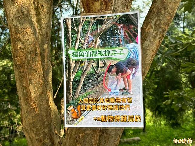 大坑9號步道光臘樹上的獨角仙今年被抓光，憤怒民眾還製作警示海報。(記者許國楨攝)