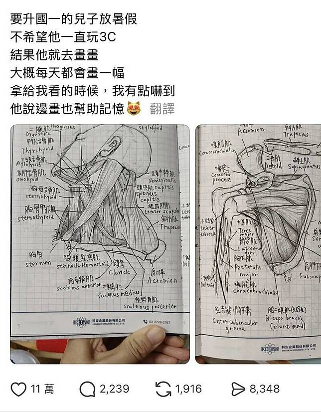 胡母將胡鈞翔畫的人體解剖圖張貼在網路上，一天吸引超過11萬人按讚。(取自Threads)