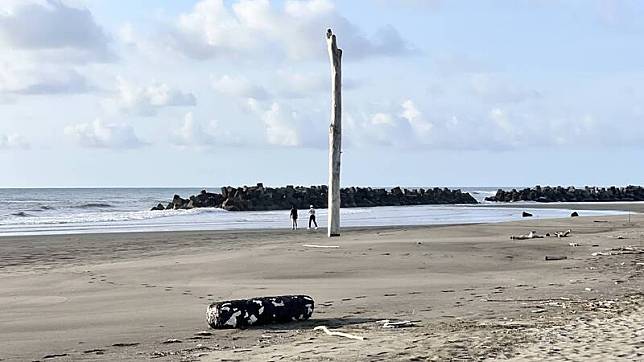 台南七股海岸最近冒出一根高約2、3層樓的大樹幹，原因讓人費解。(圖由晁瑞光提供)